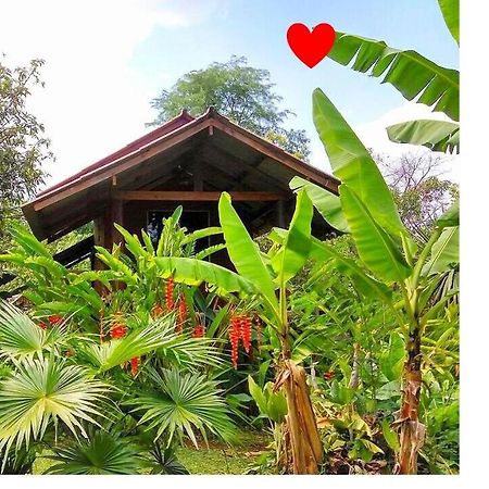 Pencave Homestay Pang Mapha Exterior foto